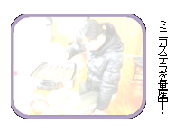 �e�L�X�g �{�b�N�X: �~�j�J�X�e����ʎY���I
 
