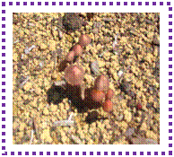 �e�L�X�g �{�b�N�X:  