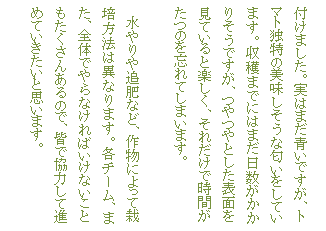 �e�L�X�g �{�b�N�X: �t���܂����B���͂܂����ł����A�g�}�g�Ɠ��̔����������ȓ��������Ă��܂��B���n�܂łɂ͂܂������������肻���ł����A���Ƃ����\�ʂ����Ă���Ɗy�����A���ꂾ���Ŏ��Ԃ����̂�Y��Ă��܂��܂��B

�@������ǔ�ȂǁA�앨�ɂ���č͔|���@�͈قȂ�܂��B�e�`�[���A�܂��A�S�̂ł��Ȃ���΂����Ȃ����Ƃ��������񂠂�̂ŁA�F�ŋ��͂��Đi�߂Ă��������Ǝv���܂��B

