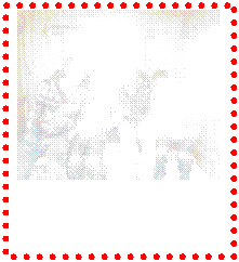 �e�L�X�g �{�b�N�X:  