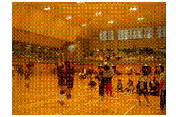 �e�L�X�g �{�b�N�X:  