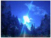 �e�L�X�g �{�b�N�X:  