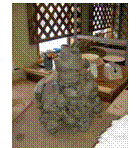 �e�L�X�g �{�b�N�X:  