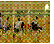 �e�L�X�g �{�b�N�X:  