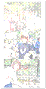 �e�L�X�g �{�b�N�X:    