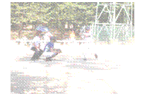 �e�L�X�g �{�b�N�X:  