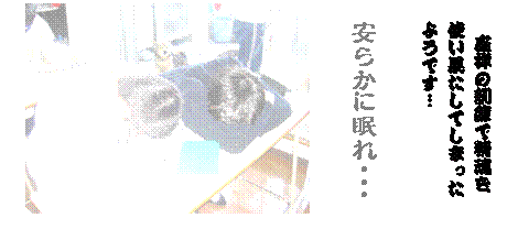 �e�L�X�g �{�b�N�X: �@�@���T�̌P���Ő�����
�g���ʂ����Ă��܂���
�悤�ł��c

�@���炩�ɖ���E�E�E

 
