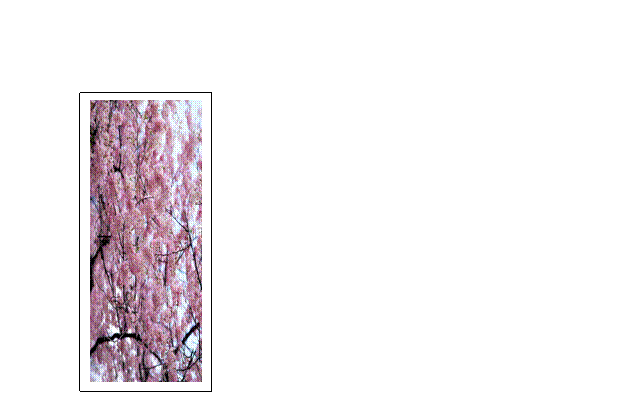 �e�L�X�g �{�b�N�X: ����̃o���h���N�ł́A���Ɏ���Ȃ��쐬���Ă��܂��I����A����Ȃ���l��l�쐬���Ă������𔭕\���܂����B�{�i�I�ȋȂ≽����H���ċȁA�唚�΂������ȂȂǊe�l�̌��L���ȋȂ����o���܂����B
���̒��̂T�Ȃ��o���h���C�u�Ŕ��\����܂��B�܂��I�΂ꂽ�Ȃ̐l�����S�ƂȂ��āA�T�`�[���ɕ�����A�`�[���P�ʂł̗��K�ɓ����Ă����܂��B
�܂��A�A���P�[�g�ȂƂ��āA���c�m�ŃA���P�[�g�����A�A���P�[�g�ȂƂ��Ĕ��\����\��ł��B����̃o���h���N�́A��������A���ꂳ��ɖ������Ē����郉�C�u��ڎw���Ă��܂��B����̃o���h���N�́A��̍��񂾂��̂ɂȂ肻���ł��B
�ǂ��������҂��������I
�@�@�@�@�@�@�@�@�@�@�@�@�@�@�@�@(����)
