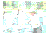 �e�L�X�g �{�b�N�X:  