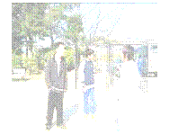 �e�L�X�g �{�b�N�X:  