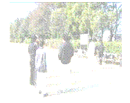 �e�L�X�g �{�b�N�X:  